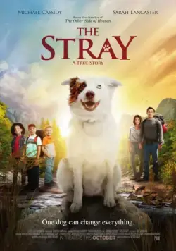 Постер: Бродячий / The Stray (2017)