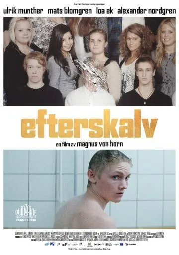 Постер: Будущая жизнь / Efterskalv (2015)