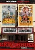 Постер: Принцесса дракон / Hissatsu onna kenshi (1976)