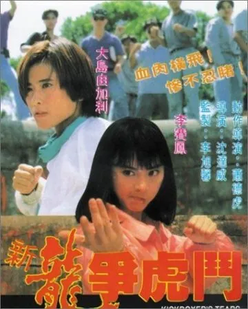 Постер: Сестра боксёра / Xin long zhong hu dou (1992)