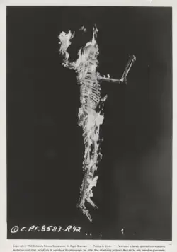 Кадр из 13 призраков (1960) Кадр 3 из фильма 13 призраков / 13 Ghosts (1960)