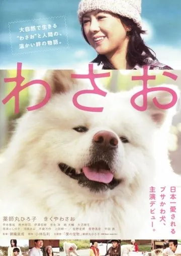 Постер: Васао / Wasao (2011)