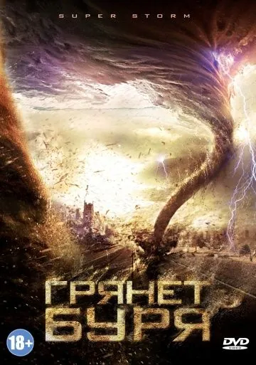 Постер: Грянет буря (2011)