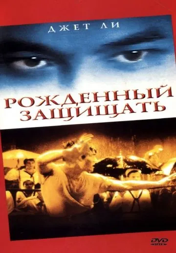Постер: Рожденный защищать / Zhong hua ying xiong (1986)