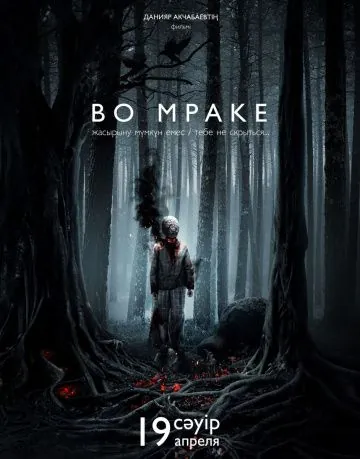 Постер: Во мраке / Vo mrake (2018)
