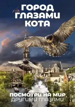Постер: Город глазами кота / De wilde stad (2018)