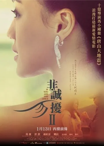 Постер: Если ты - та 2 / Fei Cheng Wu Rao 2 (2010)