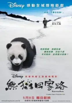 Постер: След панды / Xiong mao hui jia lu (2009)