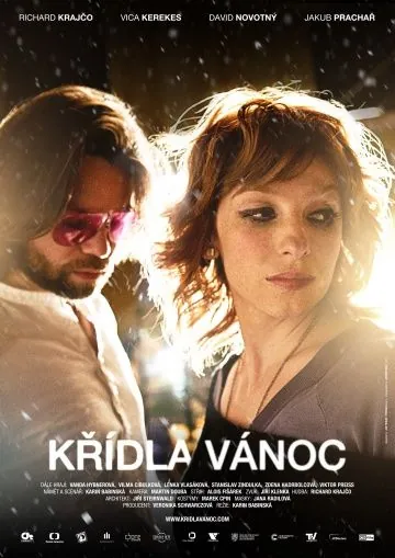 Постер: Крылатое Рождество / Krídla Vánoc (2013)