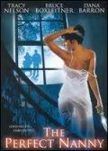 Постер: Идеальная няня / The Perfect Nanny (2000)