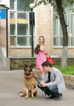 Кадр из Лорд. Пёс-полицейский (2012) Кадр 2 из фильма Лорд. Пёс-полицейский (2012)