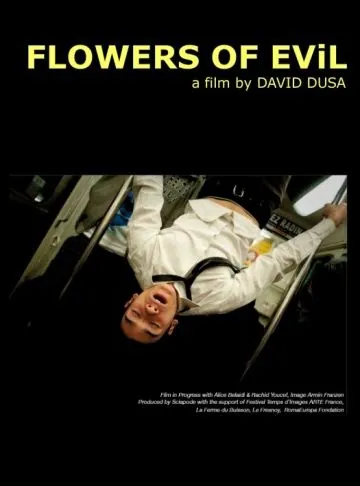Постер: Цветы зла / Fleurs du mal (2010)