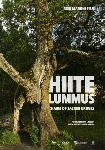 Постер: Тайная роща / Hiite lummus (2013)