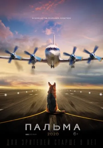 Постер: Пальма (2020)