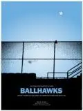 Постер: Ястребы на высоте / Ballhawks (2010)