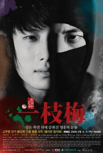 Постер: Возвращение Иль Джи-мэ / Dolanon Iljimae (2009)