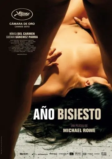 Постер: Високосный год / Año bisiesto (2010)