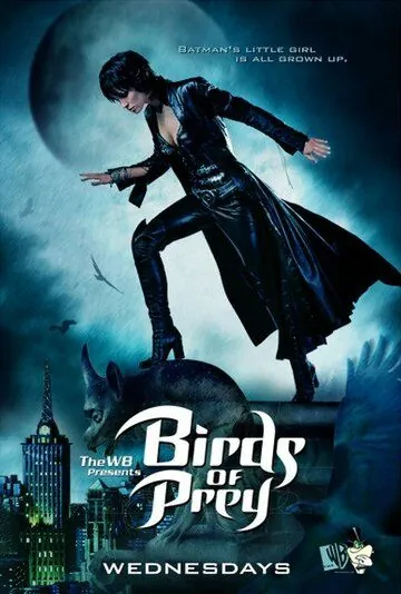 Постер: Хищные птицы / Birds of Prey (2002)