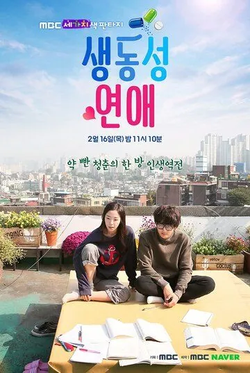 Постер: Яркая романтика / Saengdongsung yeonae (2017)
