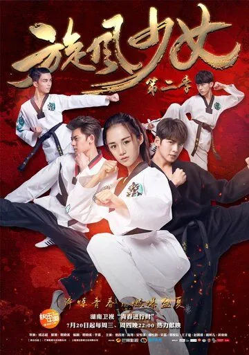 Постер: Девушка-вихрь 2 / Xuan feng shao nu di 2 (2016)