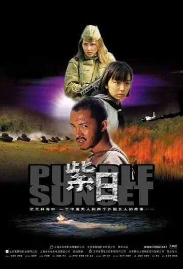Постер: Багряный закат / Ziri (2001)