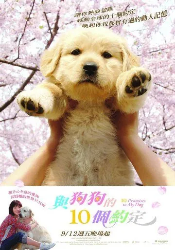 Постер: 10 обещаний моей собаке / Inu to watashi no 10 no yakusoku (2008)