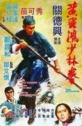 Постер: Небесный ястреб / Huang Fei Hong xiao lin quan (1974)