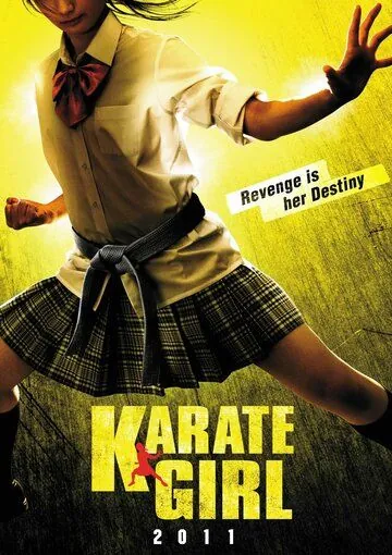 Постер: Каратистка / K.G. (2011)