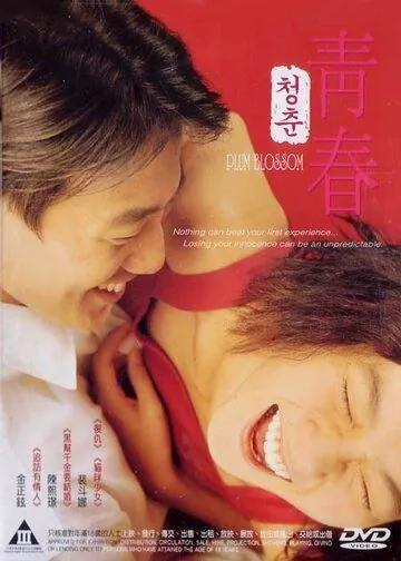 Постер: Сливовый цвет / Cheongchun (2000)