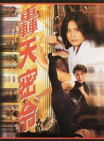 Постер: Смертельная мишень / Hong tian mi ling (1994)
