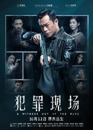 Постер: Неожиданный свидетель / Faan zeoi jin coeng (2019)