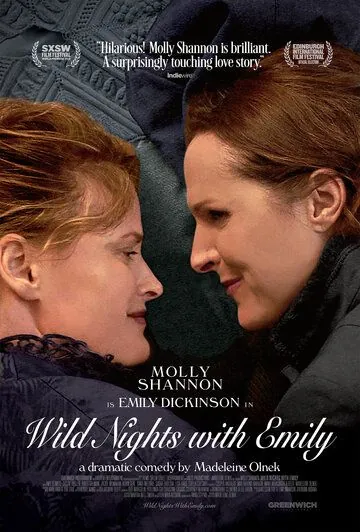 Постер: Сумасбродные вечера с Эмили / Wild Nights with Emily (2018)