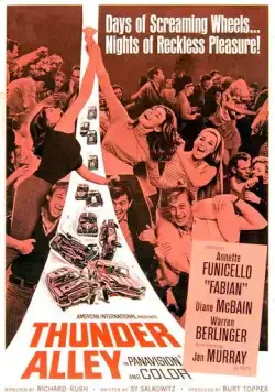 Постер: Грозовая аллея / Thunder Alley (1967)