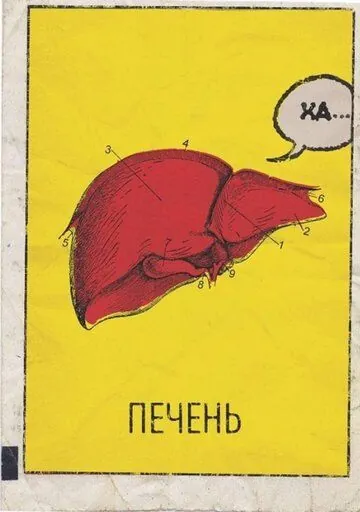 Постер: Печень, или История одного стартапа (2019)