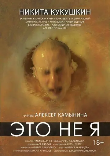 Постер: Это не я (2015)