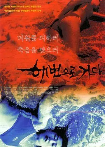 Постер: Кровавый пляж / Haebyeoneuro gada (2000)