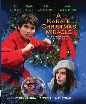 Постер: Рождественское чудо в стиле карате (2019)