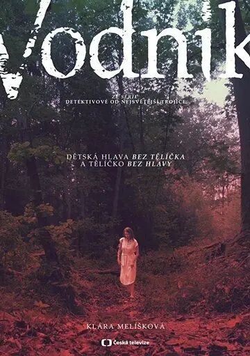 Постер: Водяной / Vodník (2019)