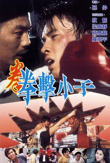 Постер: Чемпион судьбы / Quan ji xiao ji (1982)