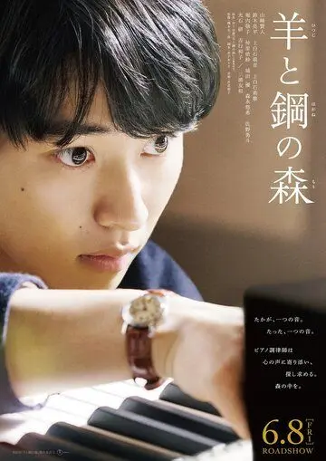 Постер: Лес из шерсти и стали / Hitsuji to hagane no mori (2018)