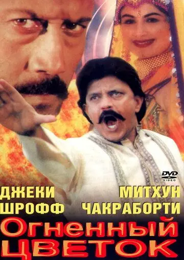 Постер: Огненный цветок / Phool Aur Aag (1999)