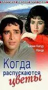 Постер: Когда распускаются цветы / Jab Jab Phool Khile (1965)