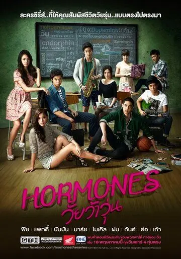 Постер: Гормоны / Hormones (2013)