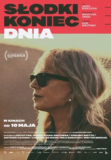 Постер: Конец сладкого дня (2019)