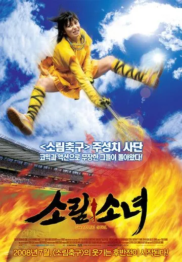 Постер: Девушка из Шаолиня / Shôrin shôjo (2008)
