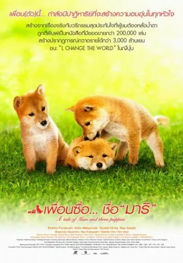 Постер: История Мари и трех щенков / Mari To Koinu No Mongatari (2007)