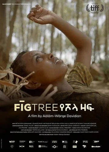 Постер: Инжир / Fig Tree (2018)