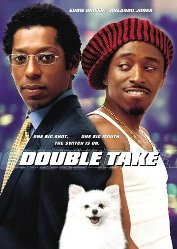 Постер: Двойные неприятности / Double Take (2001)