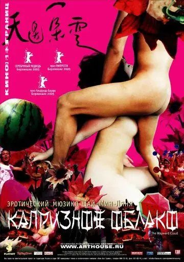 Постер: Капризное облако / Tian bian yi duo yun (2005)