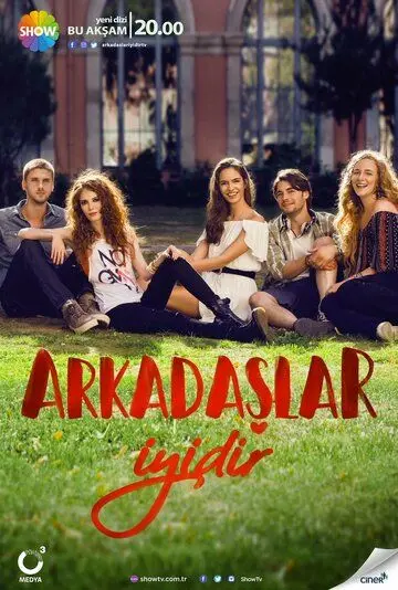 Постер: Друзья – это хорошо / Arkadaslar Iyidir (2016)
